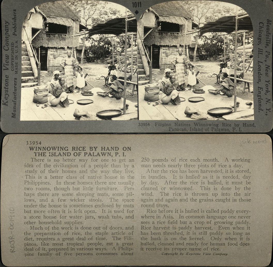Filipino Natives Winnowing Rice by Hand, Panacan, Island of Palawan, P. I.